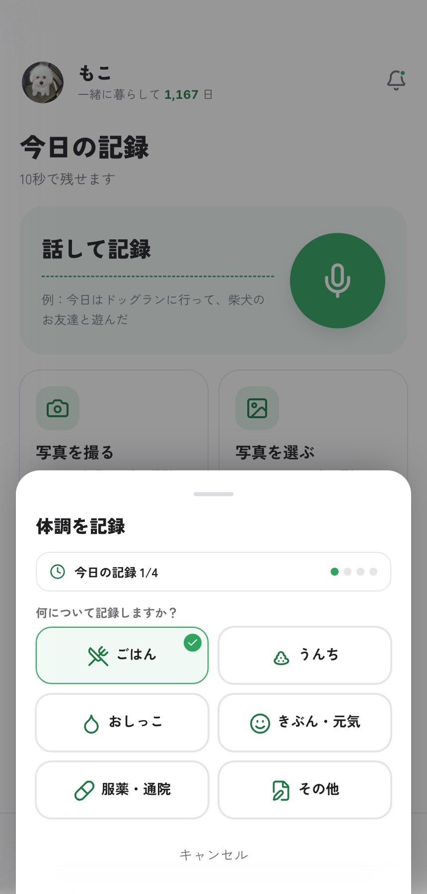 写真も、体調も、ひとつの場所に